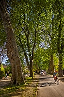 Promenade