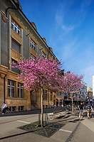 Stadt Biel