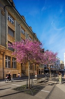 Stadt Biel