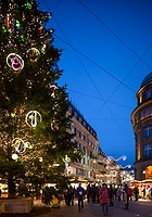 _MG_1863
