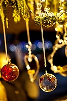 _MG_5395